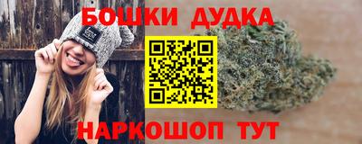 apvp Лесосибирск