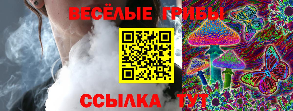 Удомля  Галлюциногенные грибы Magic Shrooms  Вход с VPN 